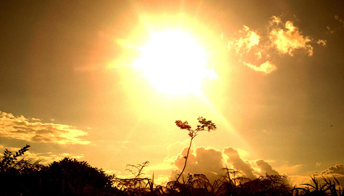 El calor puede afectar de manera grave  la salud.