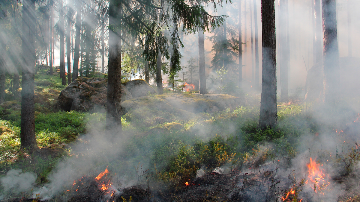 El fuego en las montañas es interpretado como una preocupación dentro del significado de los sueños.