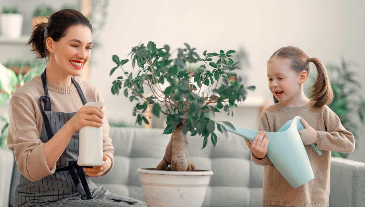 Sustrato casero para plantas que se hace con un ingrediente&nbsp;