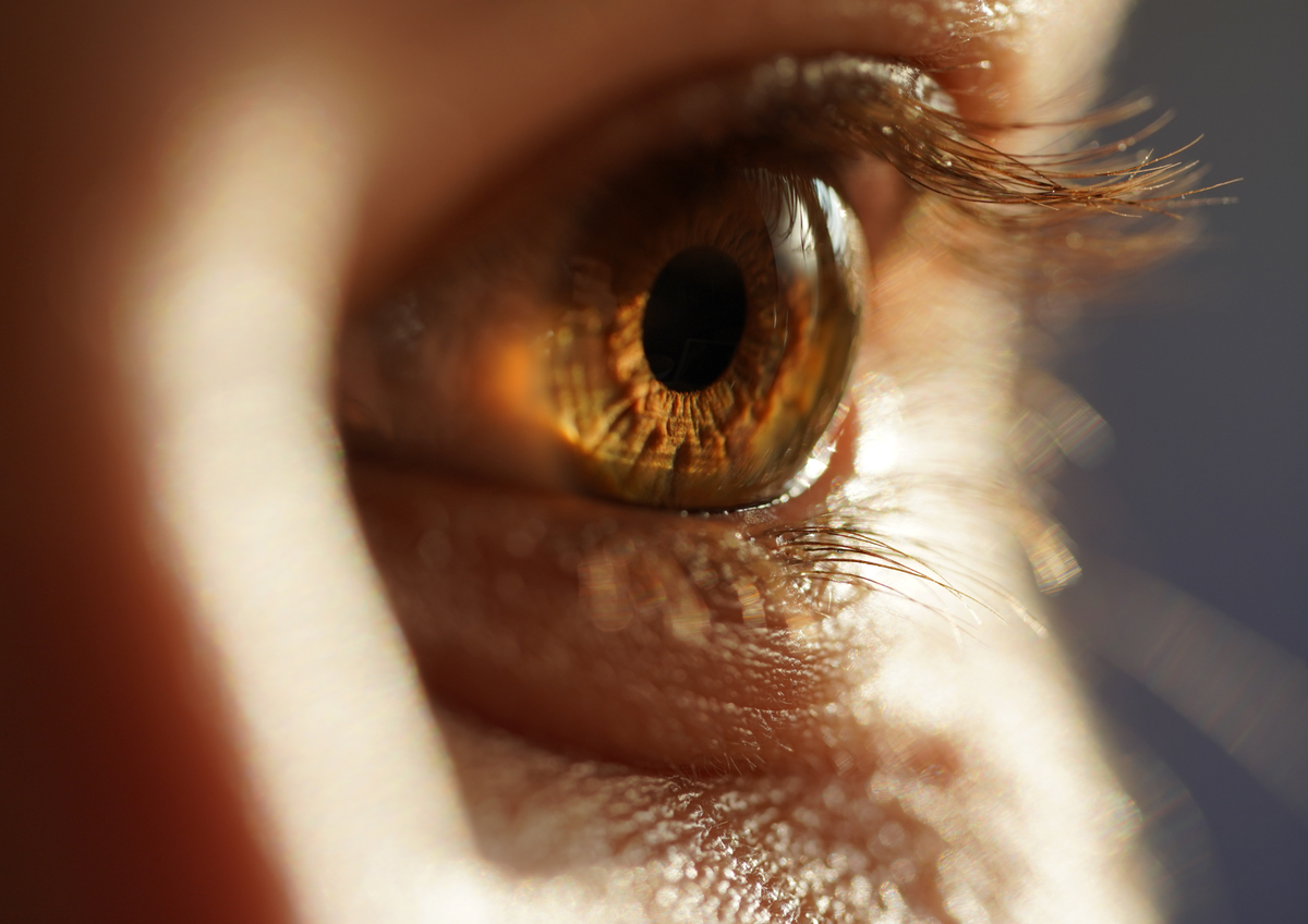 Conocida como 'vitamina del ojo', la luteína cumple un rol estelar en la salud ocular y también en la piel. Conocida como 'vitamina del ojo', la luteína cumple un rol estelar en la salud ocular y también en la piel.