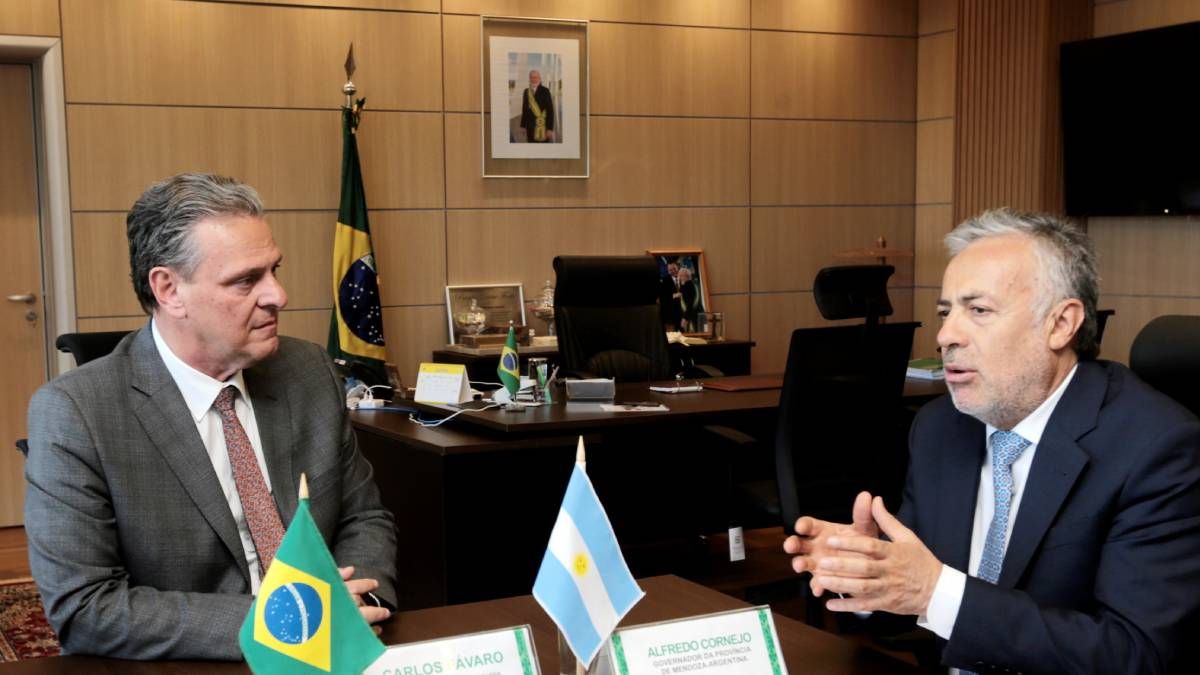 Alfredo Cornejo expuso en Brasil sobre la potencialidad de PRC y el potasio y habló de la necesidad de alianzas estratégicas