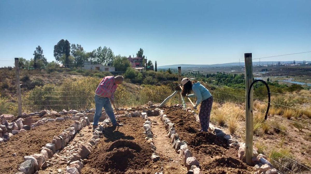 Motivados por su amor al medio ambiente, Bruno y Nahir llevan adelante este emprendimiento de huertas agroecológicas. Con su labor quieren aumentar la calidad de vida de las personas, al fomentar el cultivo de alimento propio.