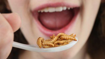 ¿Cómo te ves comiendo gusanos o un snacks de grillos?