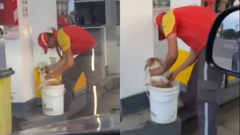 ¡Corazón enorme! El gesto de un hombre con perros que pasaban mucho calor
