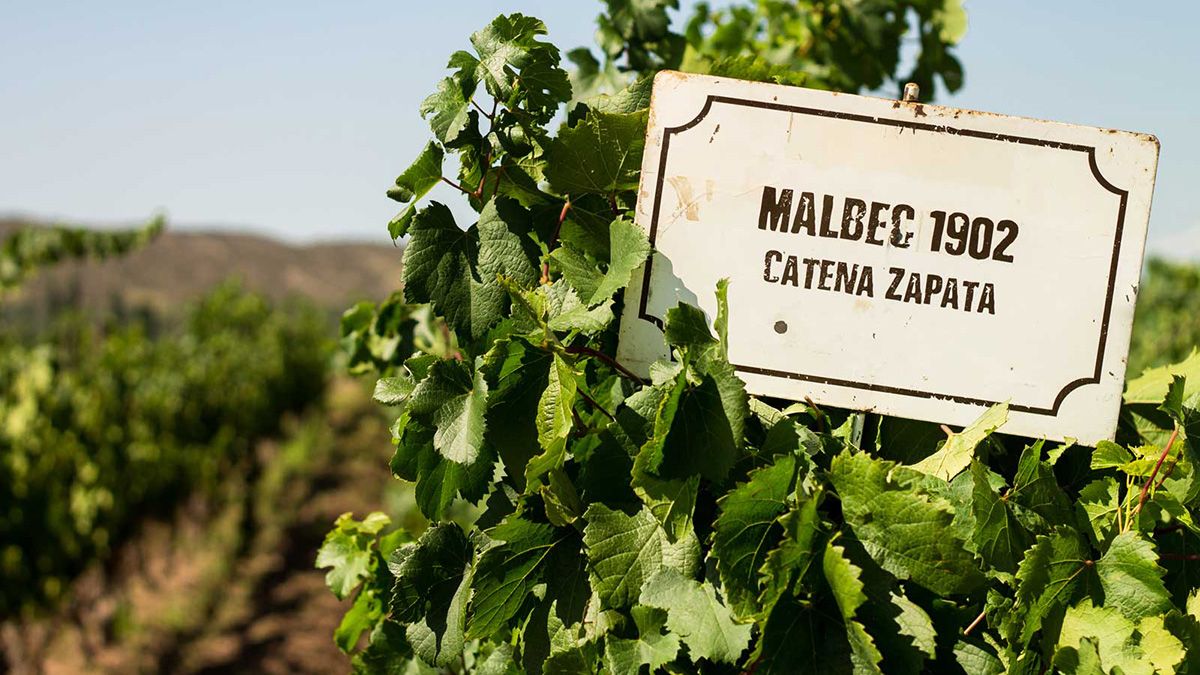 Tres bodegas mendocinas fueron seleccionadas entre las 100 mejores marcas de lujo del mundo