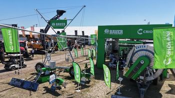 Gran presencia de Criolani Bauer en Expoagro 2026 Gran presencia de Criolani Bauer en Expoagro 2026