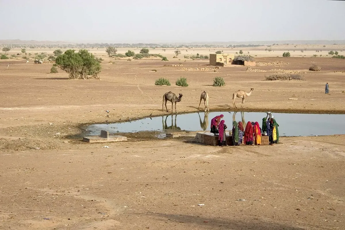 Un desierto es cada vez más verde, y los científicos ahora entienden por qué