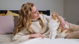 Según un estudio, los gatos reconocerían el nombre de sus dueños y de otros gatos.
