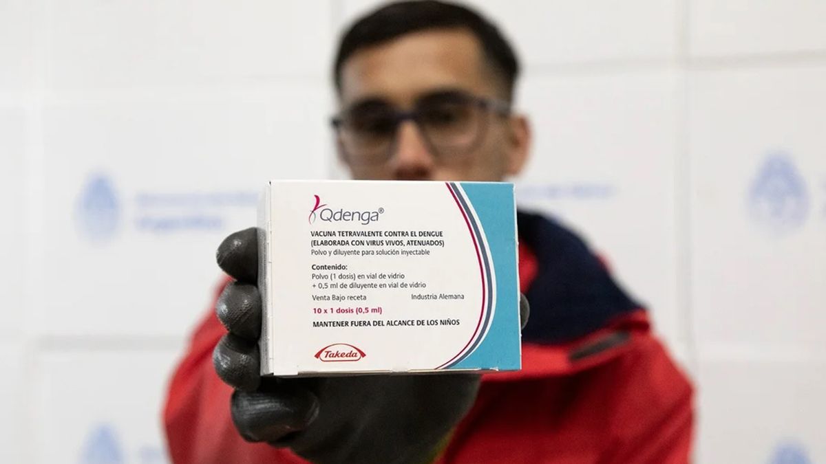 Dengue: llegaron las vacunas gratuitas, cómo y dónde conseguirlas para evitar la enfermedad Dengue: llegaron las vacunas gratuitas, cómo y dónde conseguirlas para evitar la enfermedad