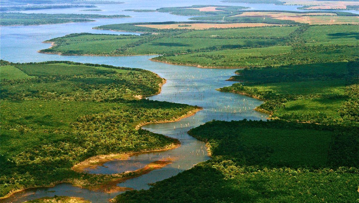 El Parque Nacional Iber&aacute; es un ecosistema de humedal de gran extensi&oacute;n en Corrientes.