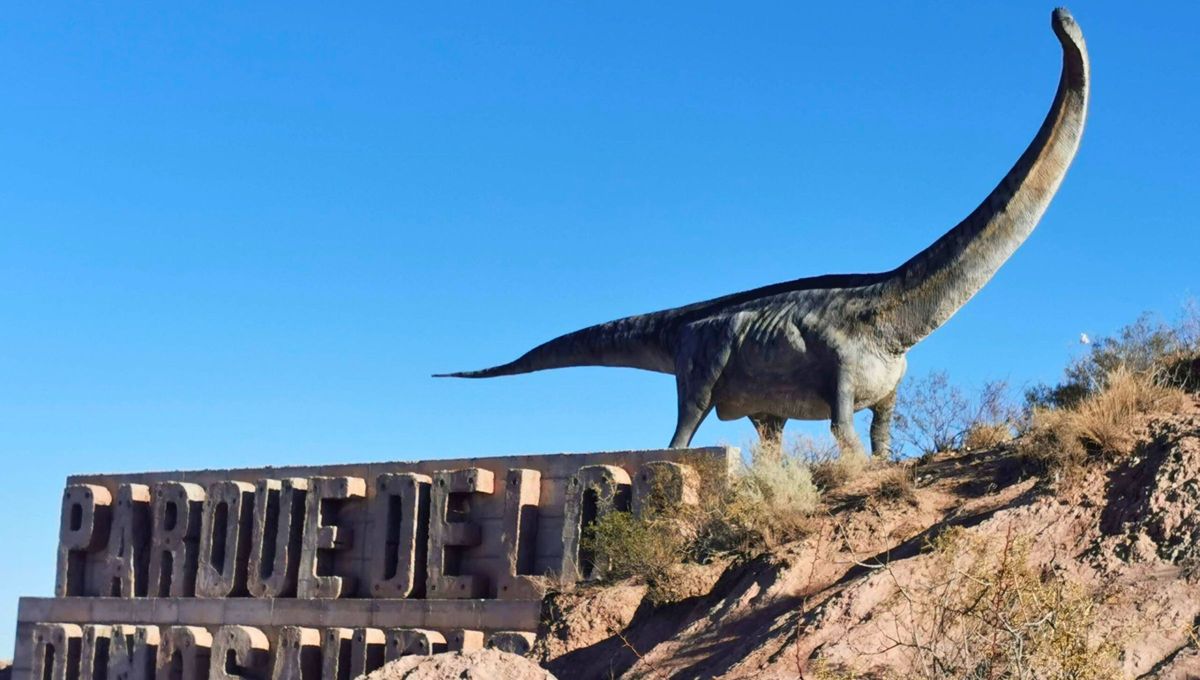 Tenebroso hallazgo en Neuquén tenía forma de cruz con cuatro puntas de flecha y medía aproximadamente 30 metros Tenebroso hallazgo en Neuquén tenía forma de cruz con cuatro puntas de flecha y medía aproximadamente 30 metros