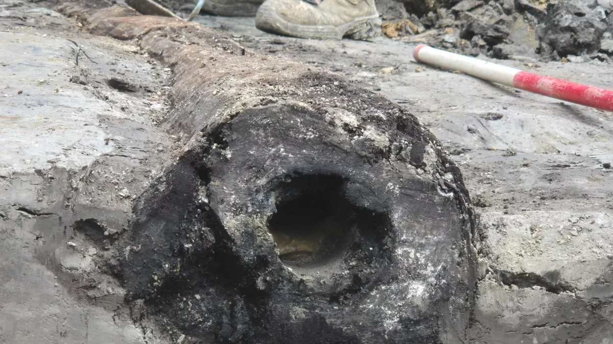 El descubrimiento está extraordinariamente preservado. El descubrimiento está extraordinariamente preservado.