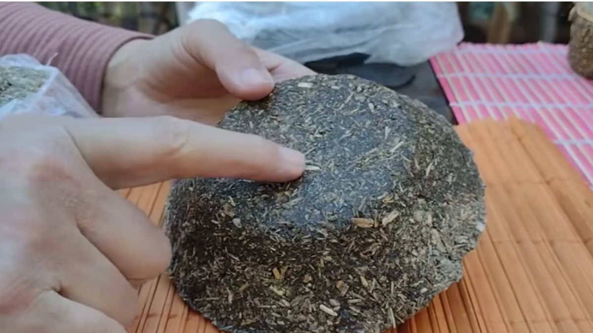Reciclaje: ¡no tirés la yerba del mate! Reciclaje: ¡no tirés la yerba del mate!