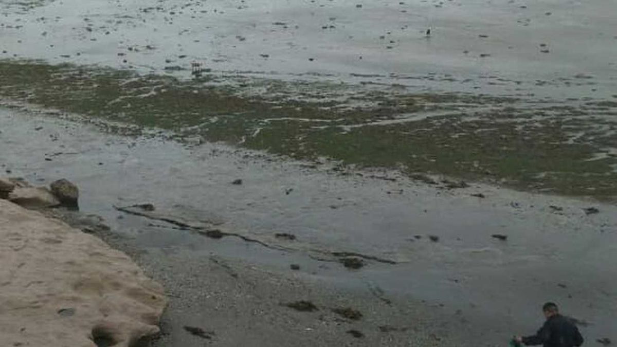 Drama amoroso. Quiso suicidarse en el mar y dos jóvenes lo salvaron.