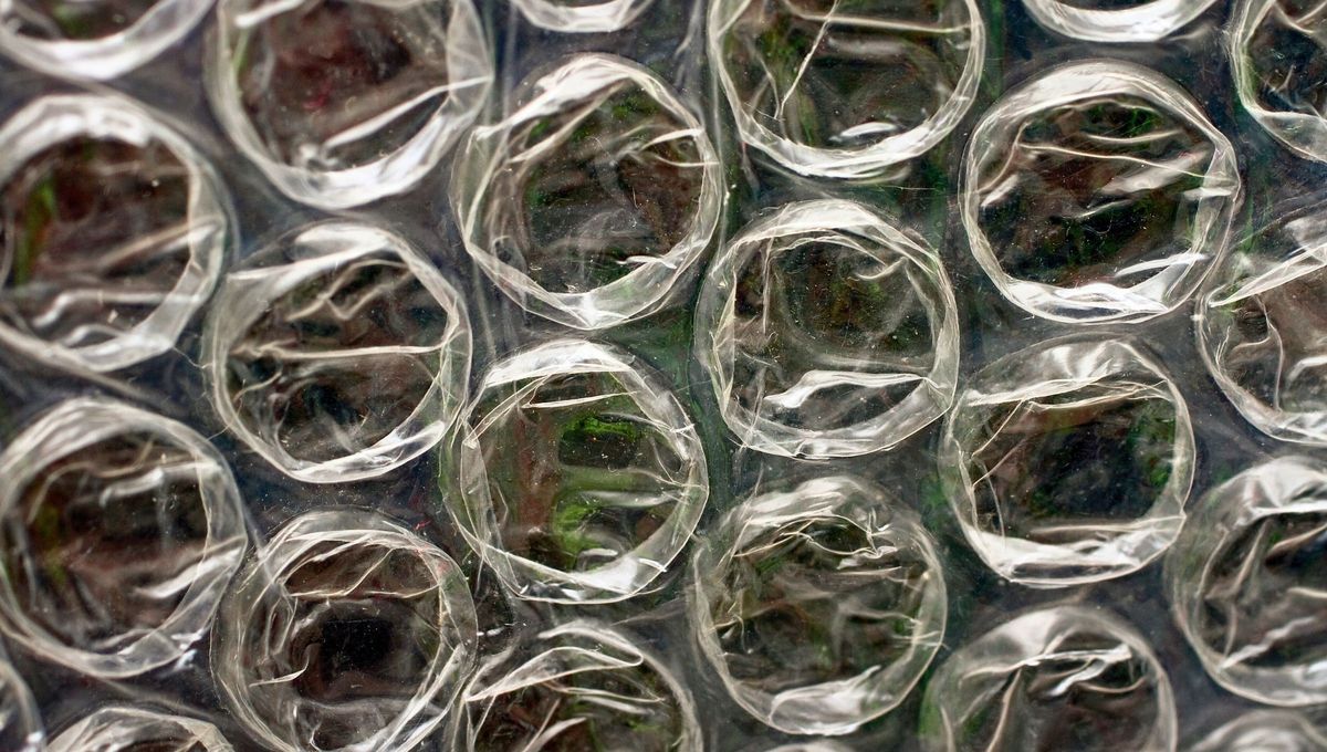 Las burbujas del Film Alveolar en detalle Las burbujas del Film Alveolar en detalle