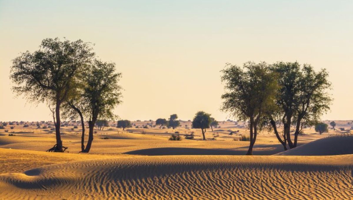 El desierto que es joya repleta de petróleo: es una de las regiones más deshabitadas de planeta Tierra