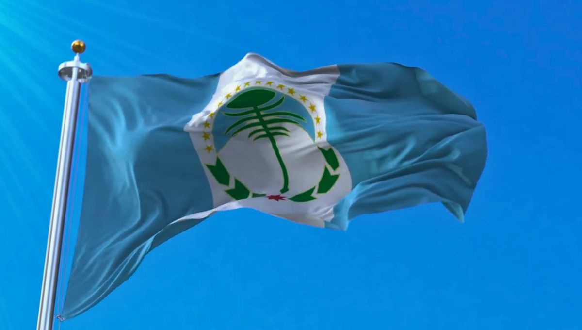 La proporción de la bandera es de 4:5. La proporción de la bandera es de 4:5.