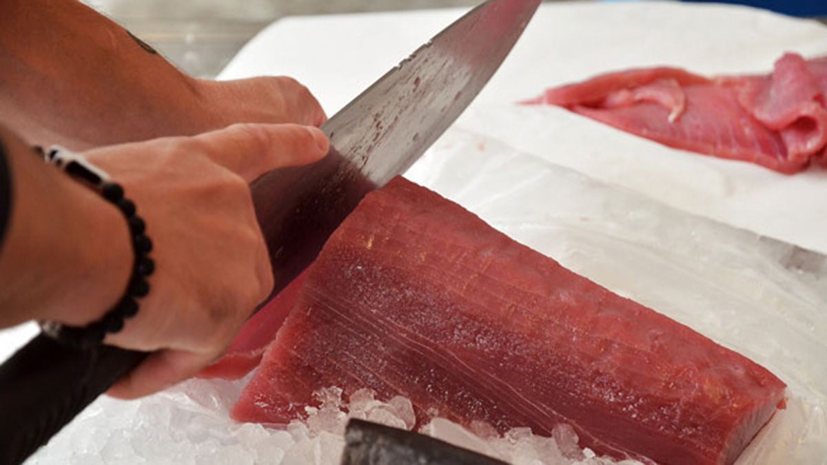 Este 2 de mayo se celebra el Día Mundial del Atún