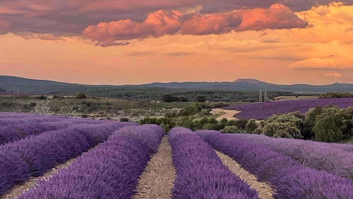 Este es uno de los pueblos más bonitos de todo Burgos que conquista a todo España.
