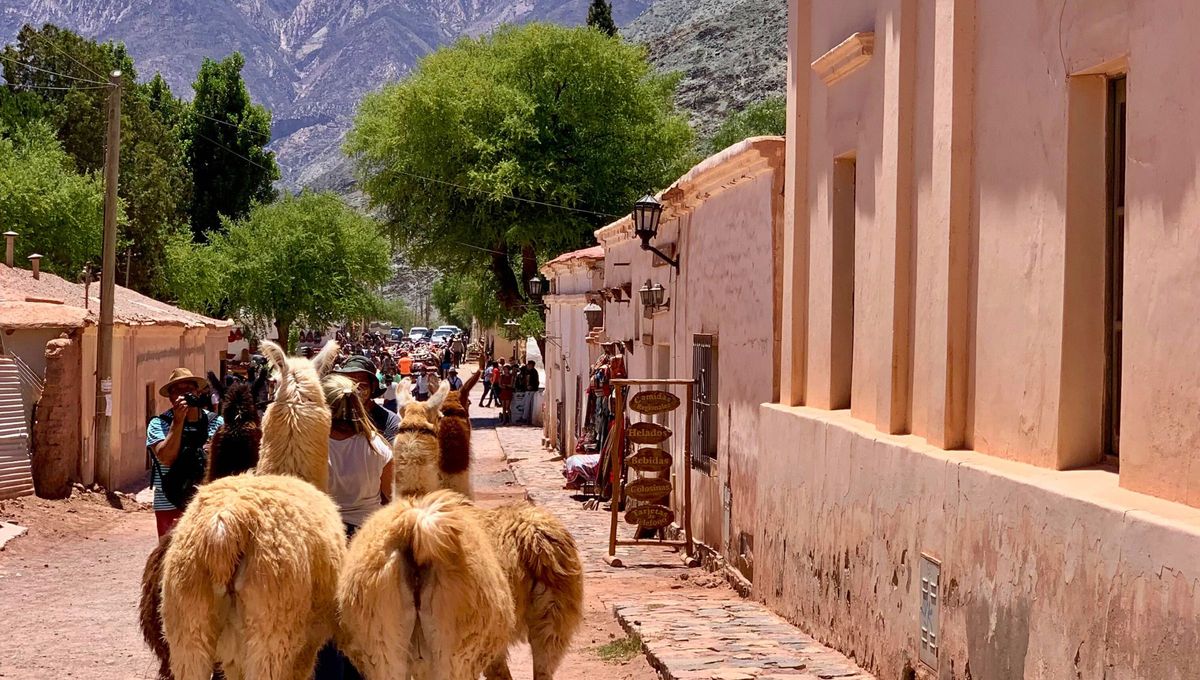 Al iniciarse la conquista española, el actual territorio de Jujuy estaba poblado por diversos pueblos indígenas. Predominaban los ocloyas, churumatas y los jujuyes, de quienes deriva el nombre de la provincia. Al iniciarse la conquista española, el actual territorio de Jujuy estaba poblado por diversos pueblos indígenas. Predominaban los ocloyas, churumatas y los jujuyes, de quienes deriva el nombre de la provincia.