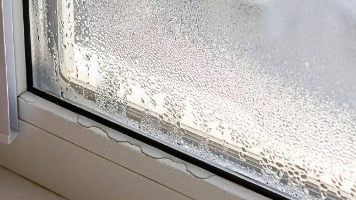 Evita la humedad en tus vidrios con estos 5 trucos Evita la humedad en tus vidrios con estos 5 trucos