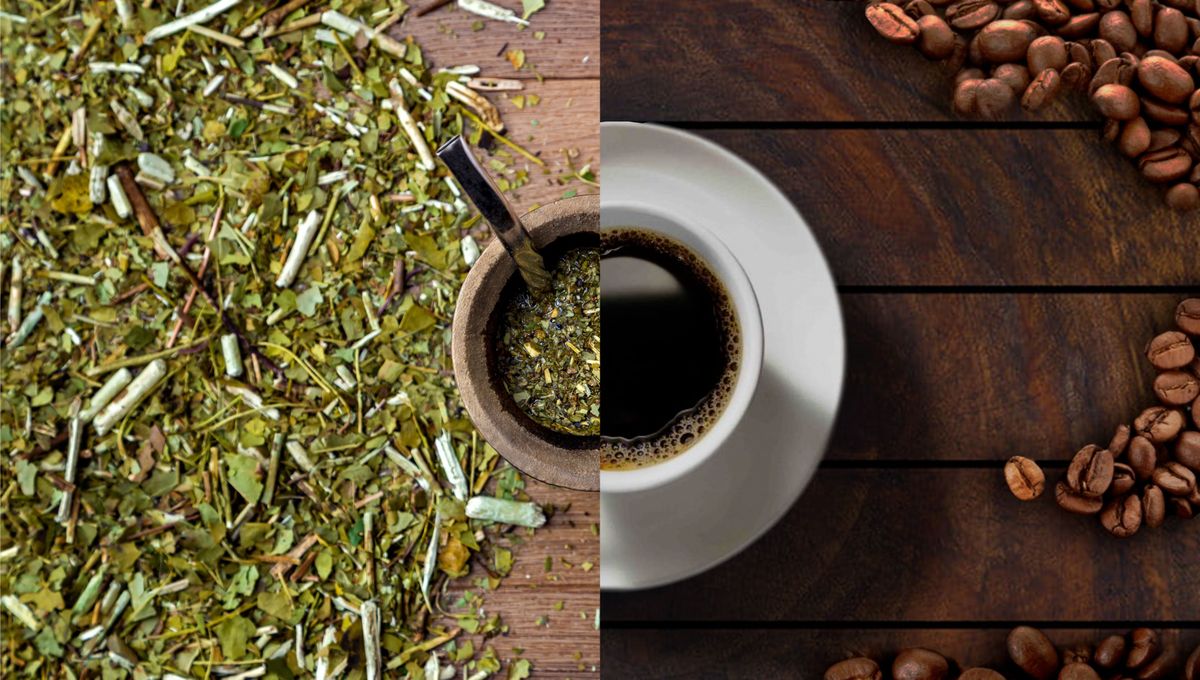 ¿Es mejor el mate o el café?