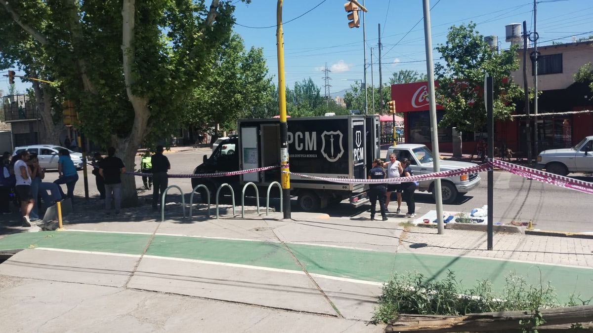 El conductor de la camioneta que atropelló y mató a una mujer de 71 años en Godoy Cruz quedó detenido tras el accidente.