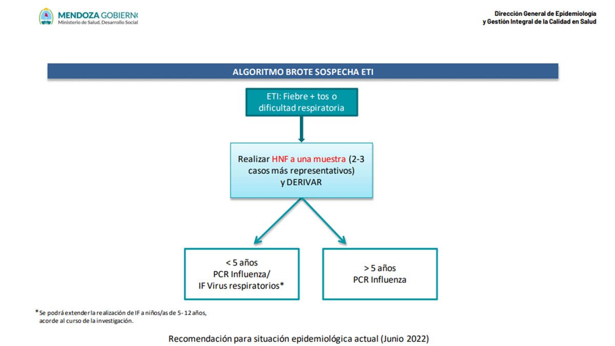 Cómo actuar en caso de sospecha de brote de gripe en las escuelas, según la DGE.