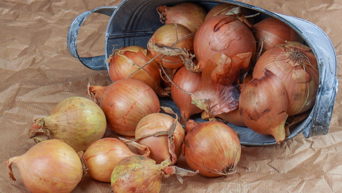 La cebolla puede retrasar el oxidamiento de la palta.&nbsp;