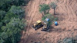 desmontaron 11.000 hectareas de bosque para aumentar la produccion y deberan pagar $21.800 millones