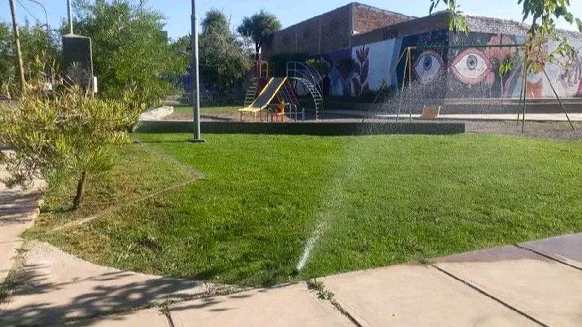 Gustavo controla el estado de un aspersor, una manguera rota, el riego justo. “Ya vengo programado”, dice. Gustavo controla el estado de un aspersor, una manguera rota, el riego justo. “Ya vengo programado”, dice.