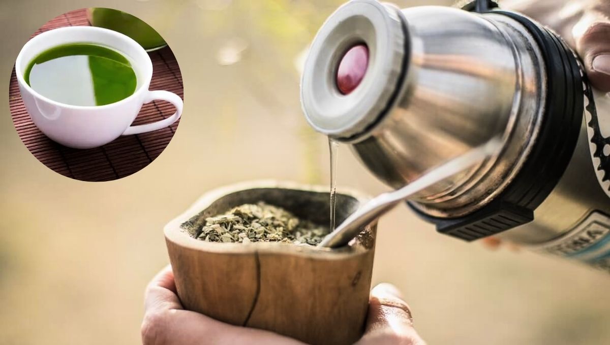 La mezcla de yerba mate con té verde puede ser beneficiosa para la salud