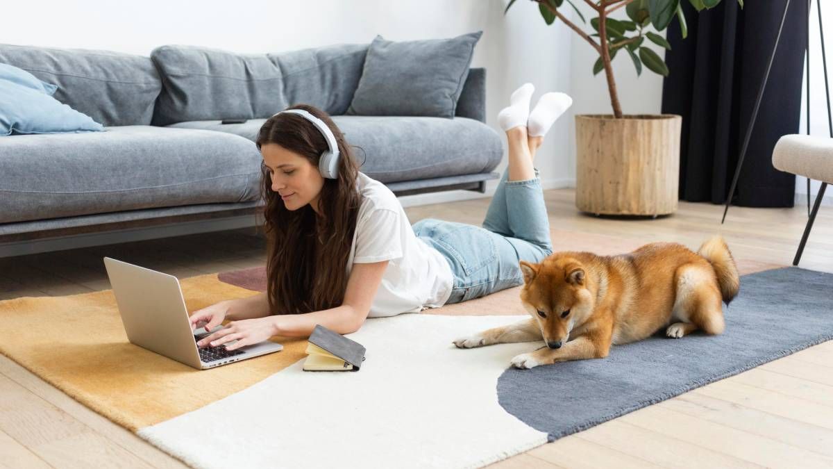 Limpiador de alfombras casero con solo 3 ingredientes&nbsp;