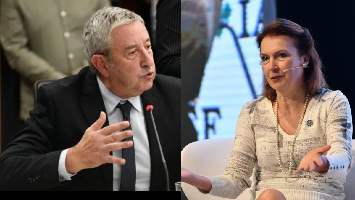 Fuerte crítica de Cobos a Diana Mondino por un comunicado en el que llamaba 