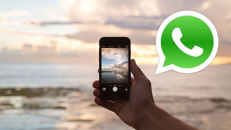 Recupera los mensajes y las fotos borrados en WhatsApp