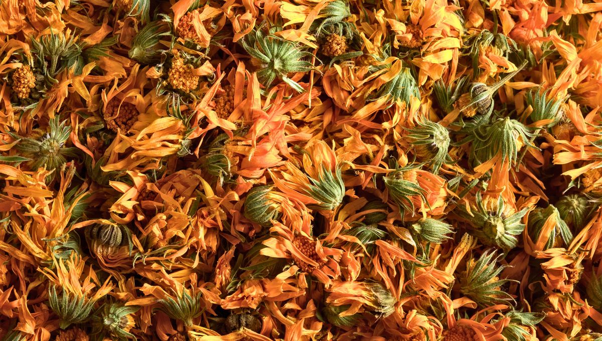 El mate combina muy bien con hierbas, yuyos y cáscaras deshidratadas. 