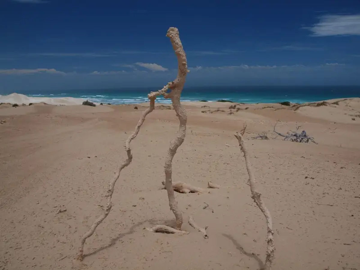 Este fenómeno puede impactar en varias zonas de la playa Este fenómeno puede impactar en varias zonas de la playa