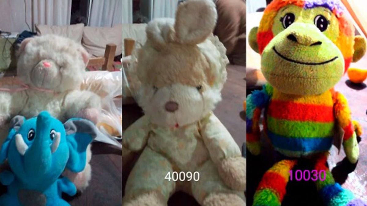 Los peluches fueron puestos en venta por Federica y algunas vecinas de Colón, Buenos Aires, se interesaron en comprar para ayudar a Tadeo