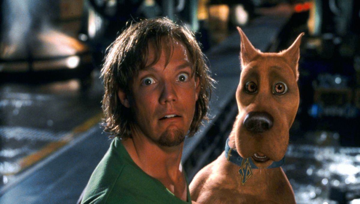 Tras más de 20 años de la película Scooby Doo, así se ve hoy el actor que  hizo de Shaggy