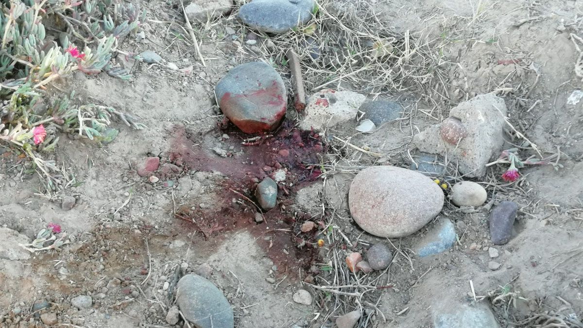 Esa es la sangre de P&eacute;rez en el lugar donde fue atacado por una patota.