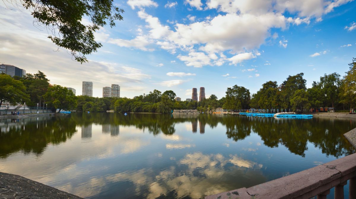 Bosque de Chapultepec. Bosque de Chapultepec.