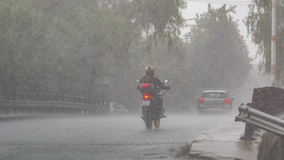 Las lluvias acumuladas estuvieron entre los 55 y los 77 mil&iacute;metros, m&aacute;s del doble de lo que suele llover en un enero t&iacute;pico.