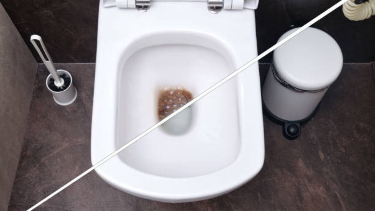 Solo con 2 ingredientes que tenés en la cocina: cómo limpiar el inodoro y dejarlo reluciente