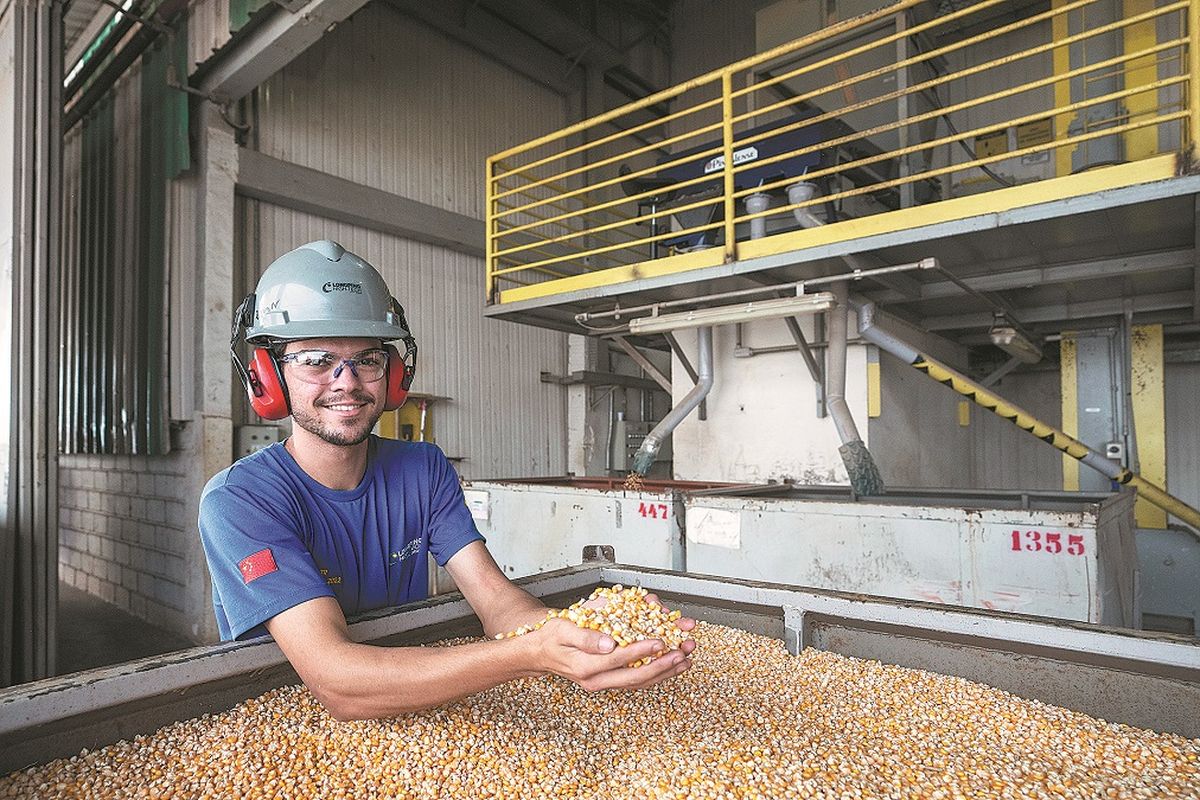Un técnico muestra semillas de maíz en una fábrica de Longping High-Tech Brazil, una empresa con inversión china en Jardinópolis, Brasil. WANG TIANCONG / XINHUA