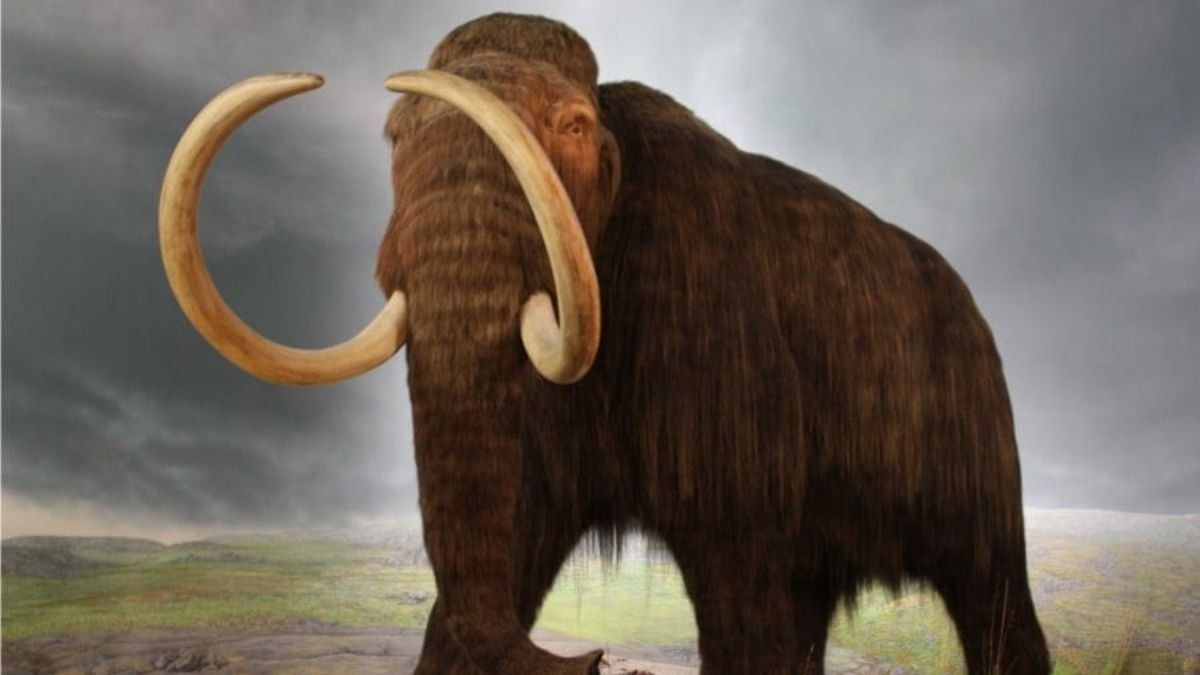 El mamut es uno de los animales que podría volver.