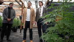 Funcionarios junto a representantes de la empresa de cannabis medicinal que ya funciona en Guaymallén. Funcionarios junto a representantes de la empresa de cannabis medicinal que ya funciona en Guaymallén.