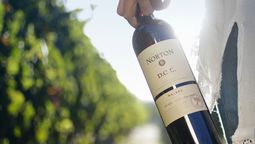 La centenaria bodega de Luján busca ratificar en asamblea el concurso de acreedores al que la obligó la crisis que atraviesa. La centenaria bodega de Luján busca ratificar en asamblea el concurso de acreedores al que la obligó la crisis que atraviesa.