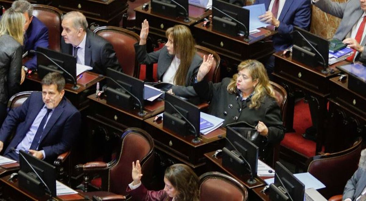El Senado aprobó por mayoría la reforma de la Carta Orgánica del Banco Central. El proyecto vuelve a Diputados.