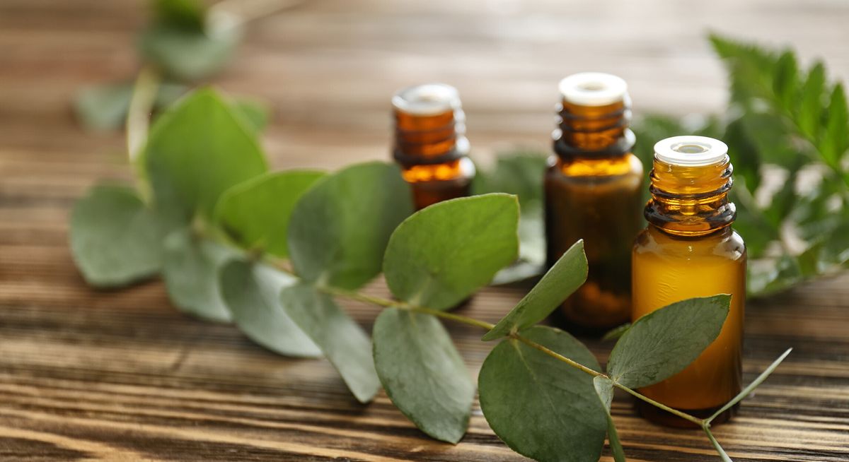 El aceite de eucalipto puede ser utilizado para ahuyentar a las cucarachas de la cocina. El aceite de eucalipto puede ser utilizado para ahuyentar a las cucarachas de la cocina.