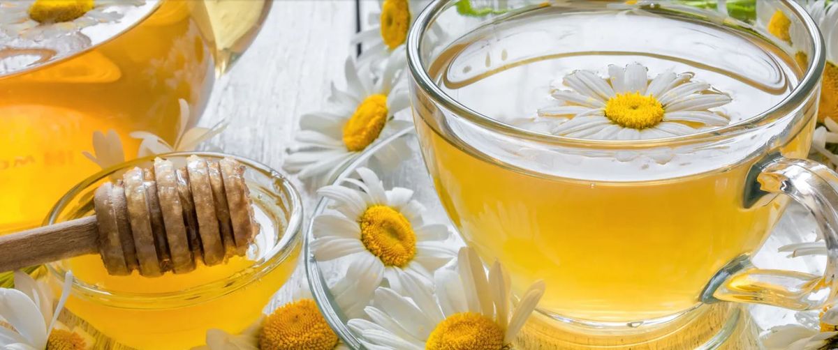 Beneficio de tomar té de manzanilla después de cenar. Beneficio de tomar té de manzanilla después de cenar.